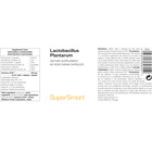 Lactobacillus Plantarum Postbiotic