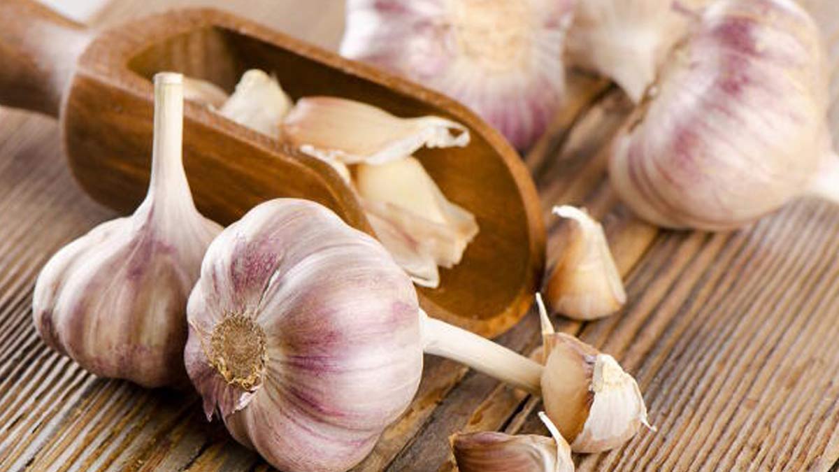 Eating garlic