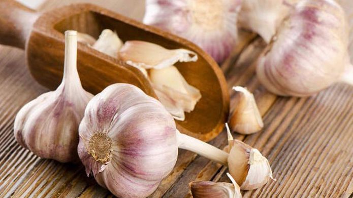 Eating garlic