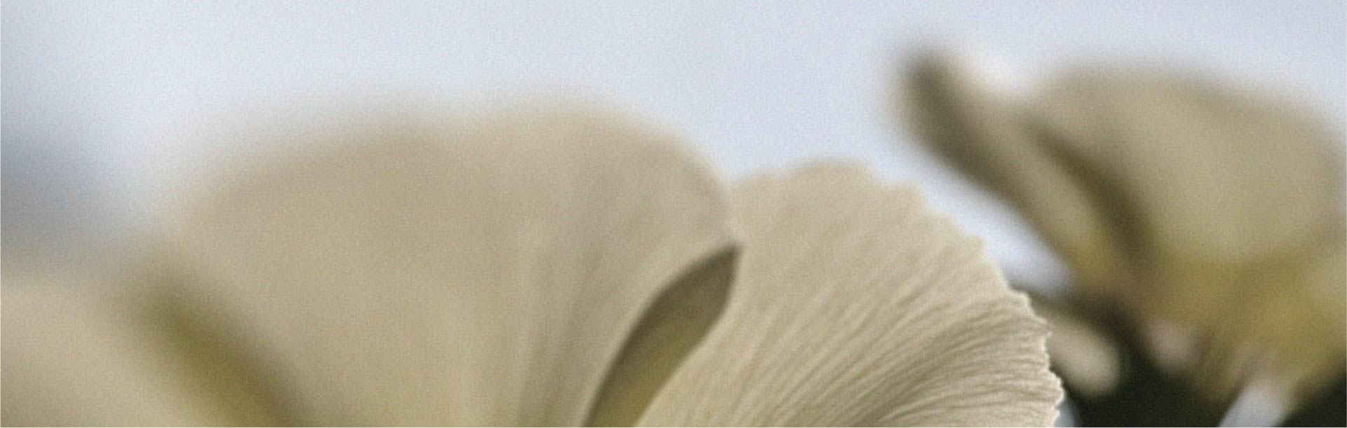 Factors that can affect male vitality