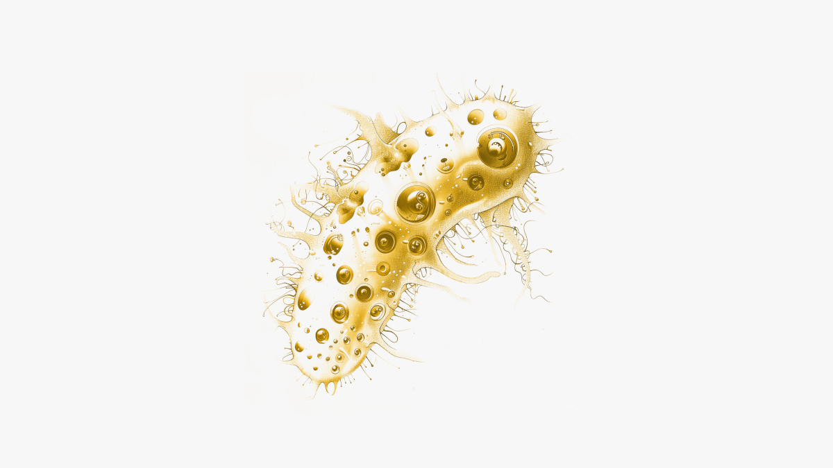 Immune system against microorganisms