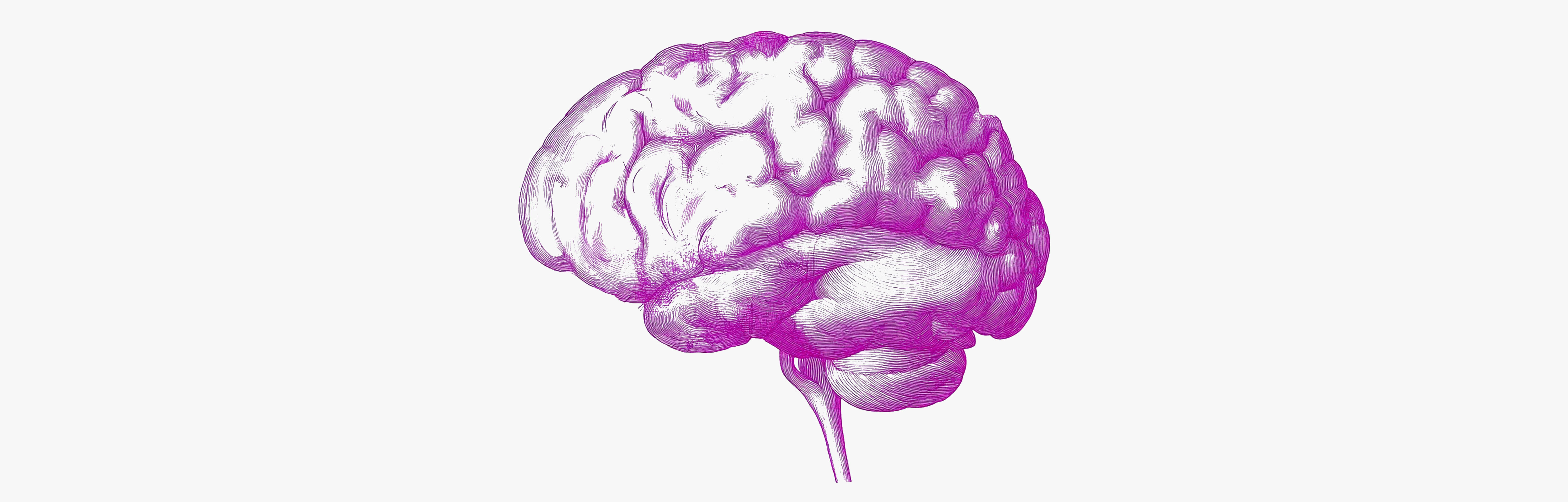 Multivitamins to combat cognitive decline