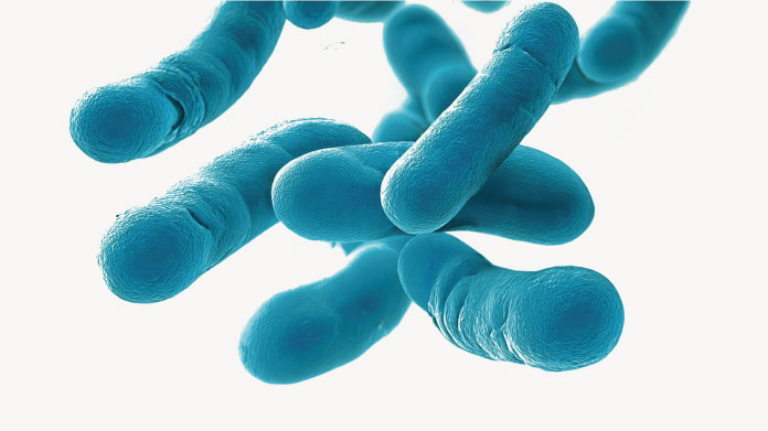 Probiotics to relieve irritable bowel
