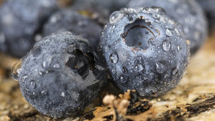 Antioxidant foods